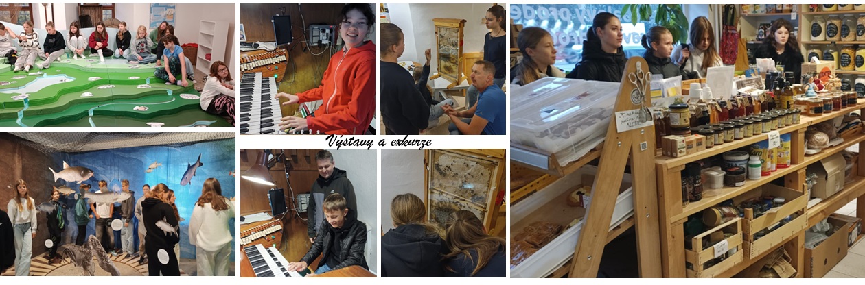 Výstavy a exkurze